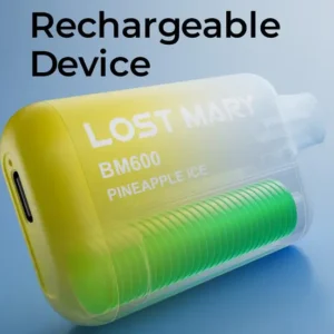Lost Mary BM600 Prefilled Pod Kit